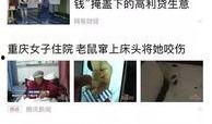 内容爆料最新,明星隐私大曝光！