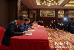 河北省银行业最新爆料,揭秘行业变革与发展趋势
