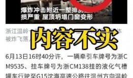最新偷鱼爆料新闻报道,偷鱼团伙作案手法揭秘