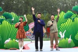最新高校爆料新闻视频大全,揭秘校园热点事件与幕后真相