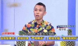 凤梨爆料视频大全集最新,揭秘娱乐圈幕后真相