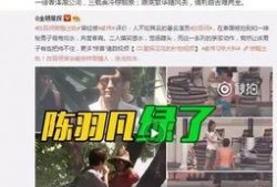 嵩县大事件爆料视频最新,揭秘惊人真相！