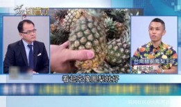 凤梨爆料视频大全集最新,揭秘娱乐圈幕后真相