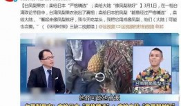 凤梨爆料视频大全集最新,揭秘娱乐圈幕后真相