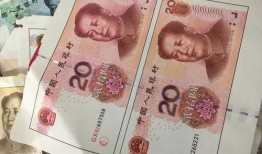 过年彩虹币最新爆料视频,揭秘神秘功能与独特亮点